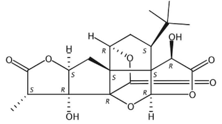 银杏内酯A,Ginkgolide A