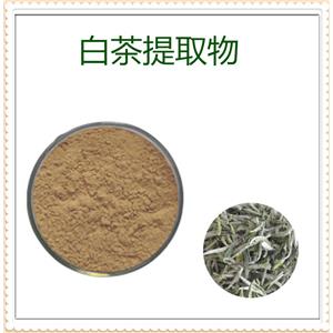 枸杞提取物,Chinese wolfberry extract