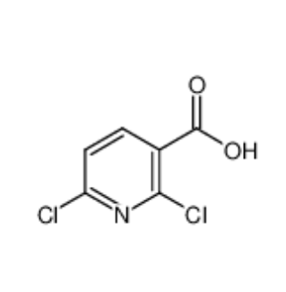 2,6-二氯煙酸,2,6-Dichloronicotinic acid