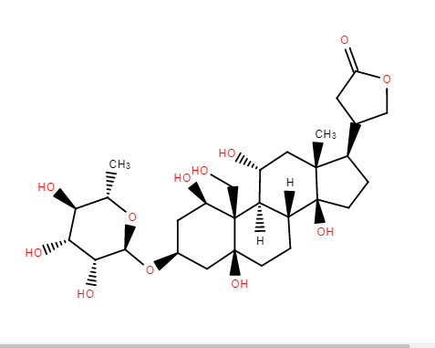 二氢乌本(箭毒)苷,DIHYDROOUABAIN