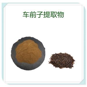 玉竹提取物,POLYGONATUM odoratum extract