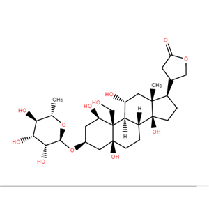 二氢乌本(箭毒)苷,DIHYDROOUABAIN
