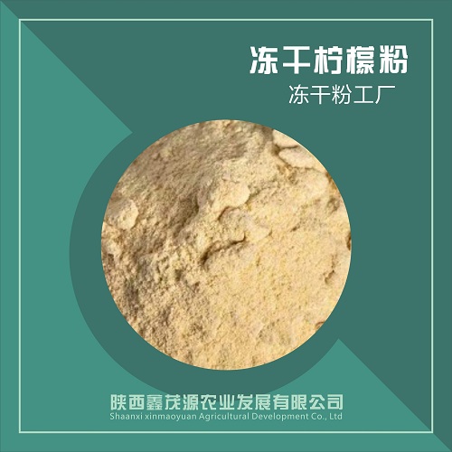 冻干柠檬粉,Freeze dried yellow peach powder