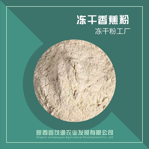 冻干香蕉粉,Freeze dried banana powder