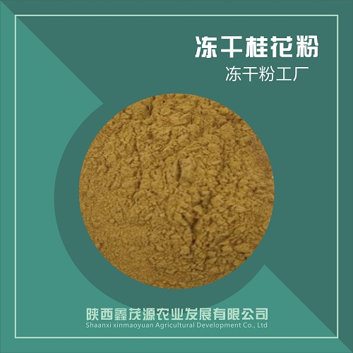 冻干桂花粉,Freeze dried cinnamon pollen
