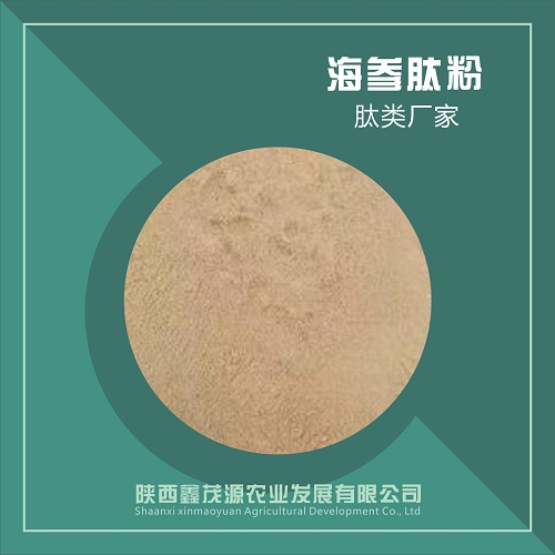 海参肽粉,Sea cucumber peptide powder
