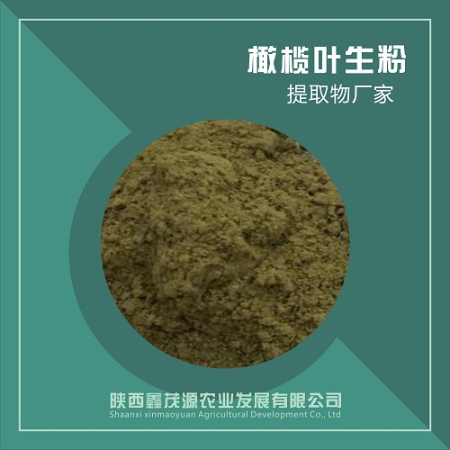 橄欖葉生粉,Olive leaf powder