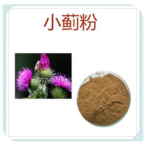 小蓟提取物,Thistle extract