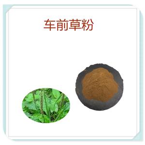 车前草提取物,PLANTAIN extract