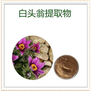 车前草提取物,PLANTAIN extract