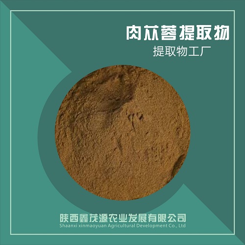 肉苁蓉提取物,Cistanche deserticola extract