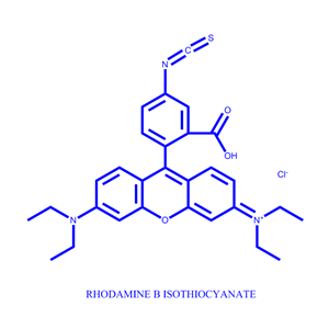罗丹明B异硫氰酸酯,RHODAMINE B ISOTHIOCYANATE