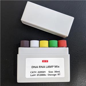 DNA RNA LAMP Mix