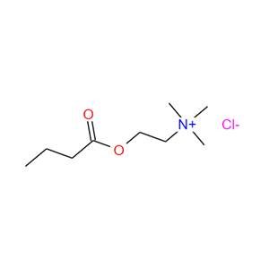 氯化丁酰胆碱,BUTYRYLCHOLINE CHLORIDE