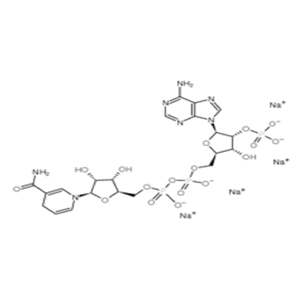 β-烟酰胺腺嘌呤二核苷酸磷酸还原型