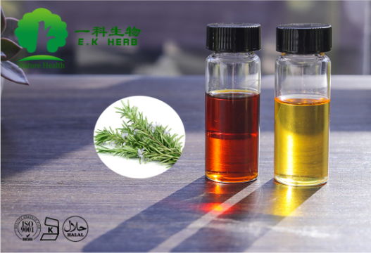 鼠尾草酸油,carnosic acid oil