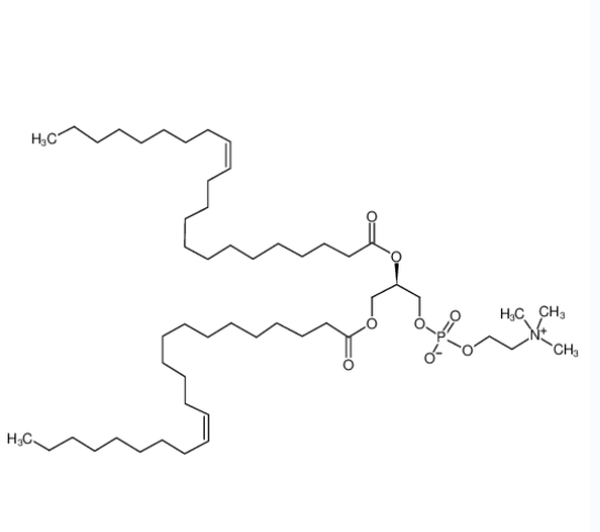 1,2-二芥酰-SN-甘油-3-磷酰胆碱,1,2-DI13-CIS-DOCOSENOYL-SN-GLYCERO-3-PHOSPHOCHOLINE