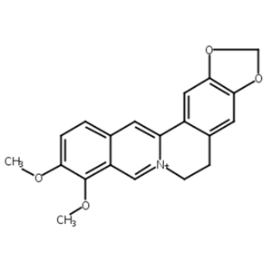 小檗堿,Berberine