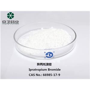 异丙托溴铵,Ipratropium bromide