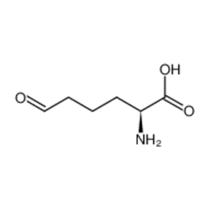 (S)-2-氨基-6-氧己烷酸