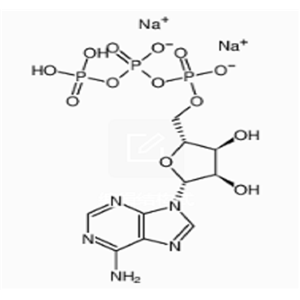 三磷酸腺苷二钠盐(ATP),Adenosine 5'-triphosphate disodium salt