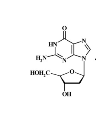 2'-脫氧鳥苷,2'-Deoxyguanosine monohydrate