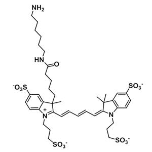 AF647-氨基
