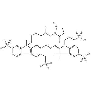 AF647-活性酯