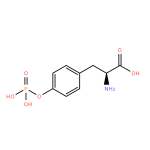 (S)-2-氨基-3-(4-(膦酰氧基)苯基)丙酸