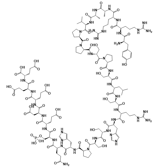 磷酸糖原合酶肽2（底物）,Phospho-Glycogen Synthase Peptide-2(substrate)