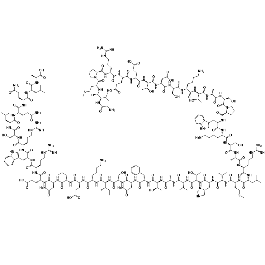 钙调蛋白结合肽1,Calmodulin Binding Peptide 1