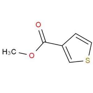 3-噻吩甲酸甲酯,3-Methoxycarbonylthiophene