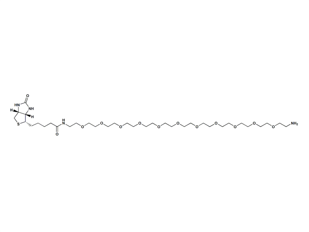 生物素-PEG11-胺,Biotin-PEG11-amine