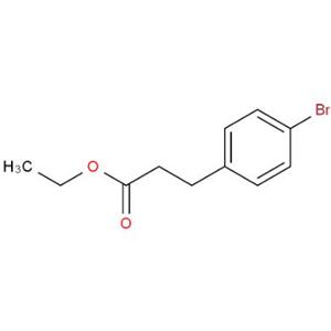 对溴苯丙酸乙酯,3-(4-Bromophenyl)propionic acid ethyl ester
