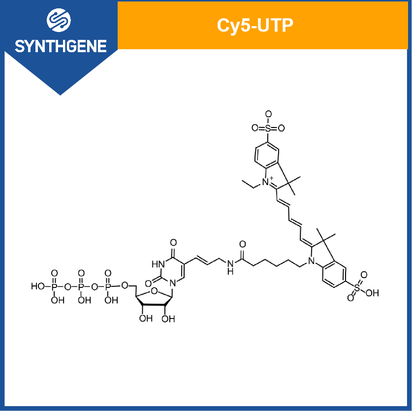 Cy5-UTP