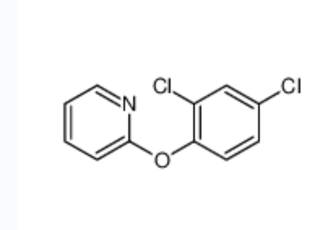 2-(2,4-二氯苯氧基)吡啶,2-(2,4-dichlorophenoxy)pyridine