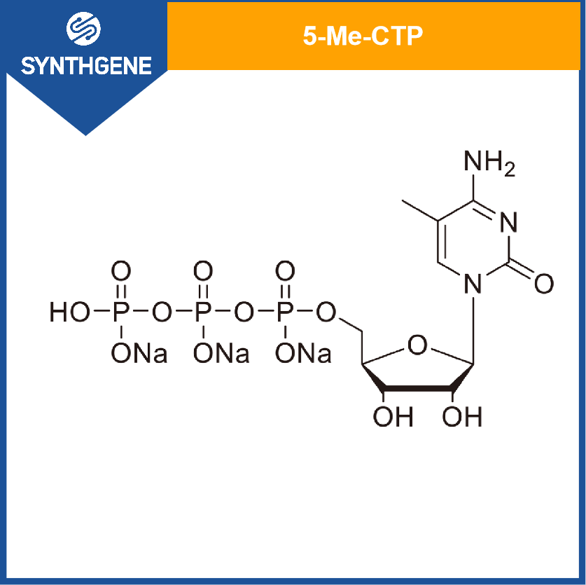 5-Me-CTP