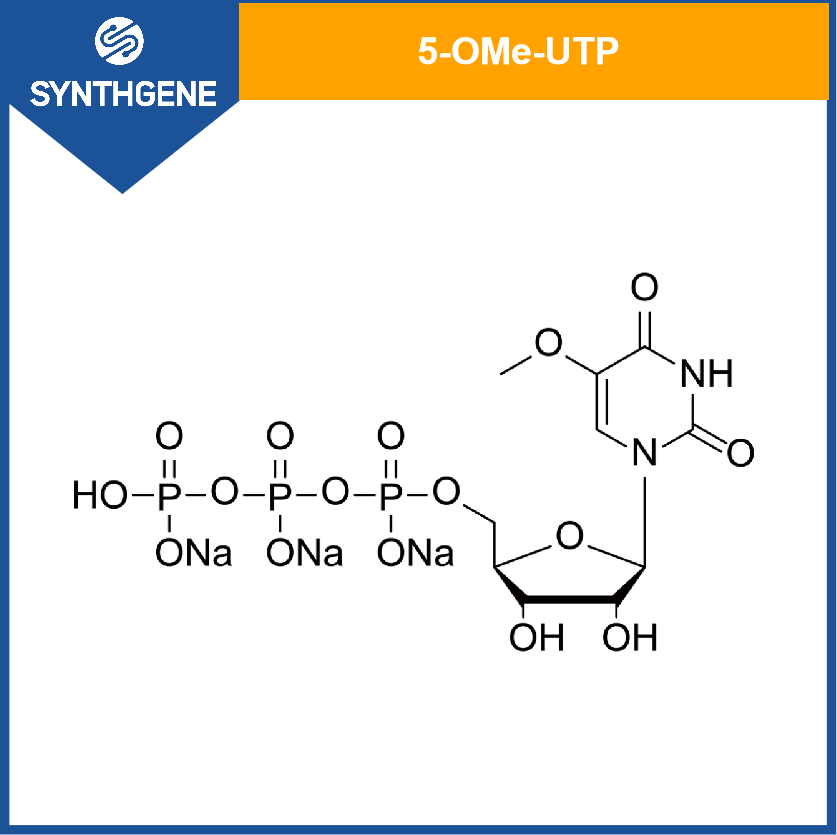 5-OMe-UTP