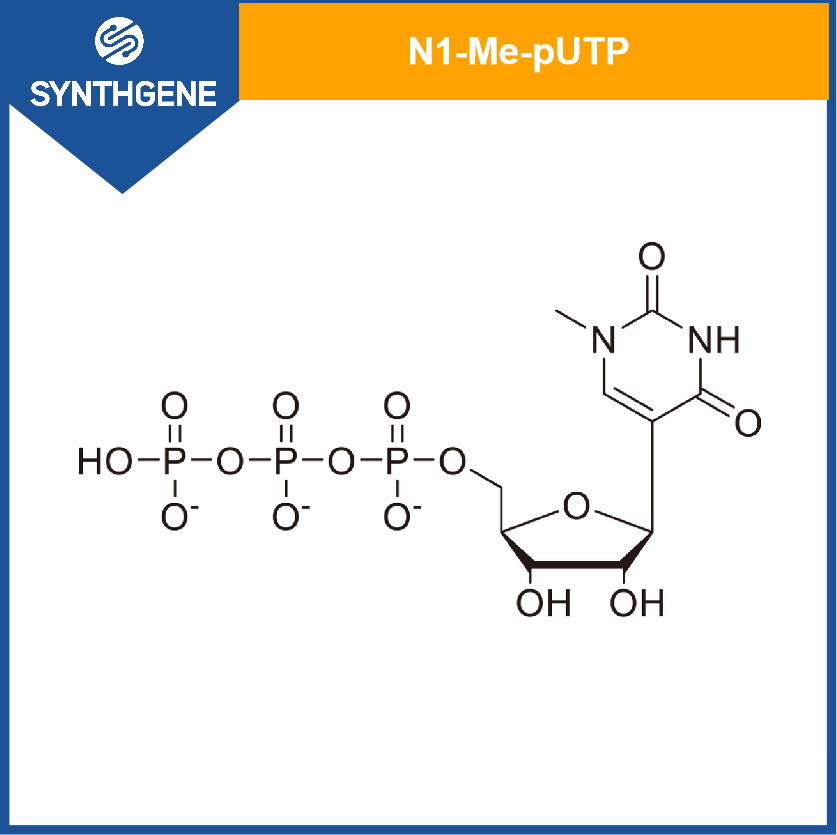 N1-甲基-假尿苷三磷酸,N1-Me-pUTP