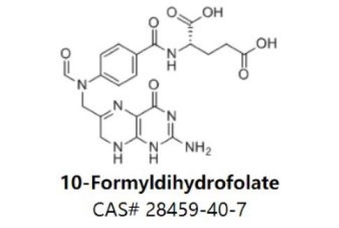 10-Formyldihydrofolate,10-Formyldihydrofolate