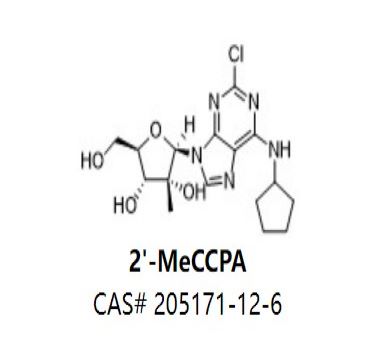 2'-MeCCPA,2'-MeCCPA