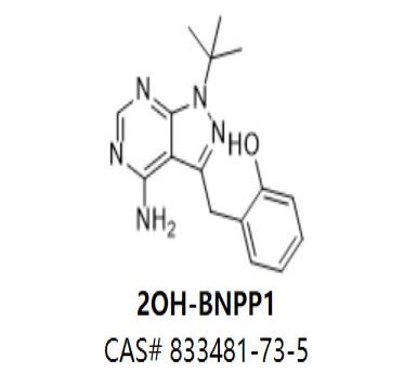 2OH-BNPP1,2OH-BNPP1