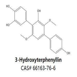 3-Hydroxyterphenyllin