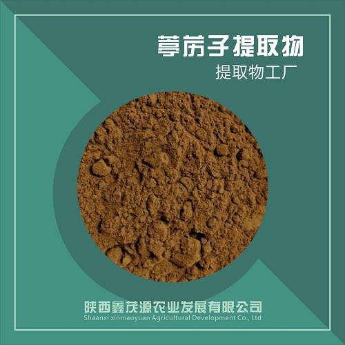 葶苈子提取物,Semen Lepidii extract