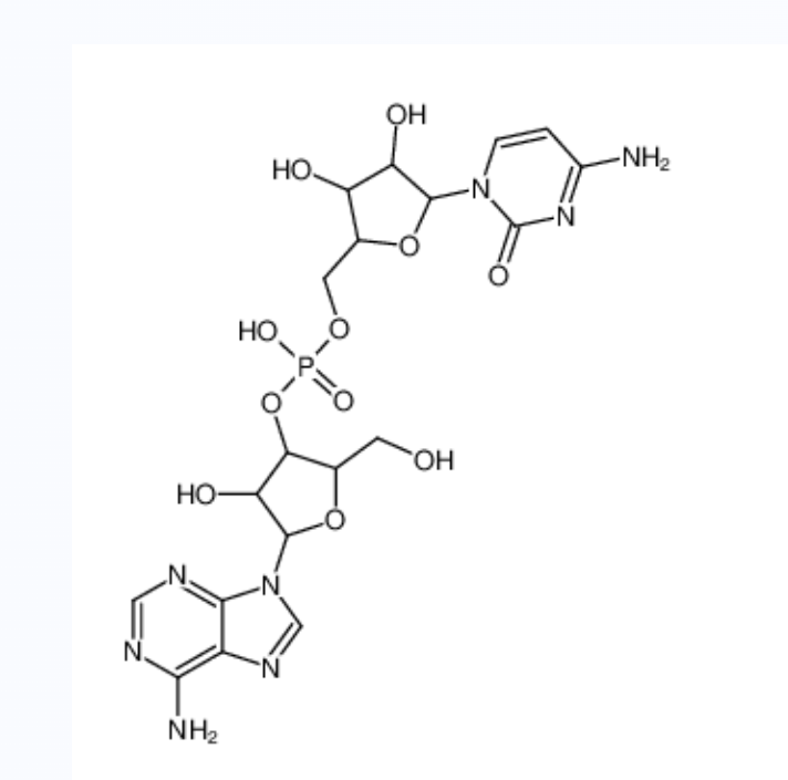 腺苷酰-(3'-5')-胞苷,cytidylyl(5'->3')adenosine
