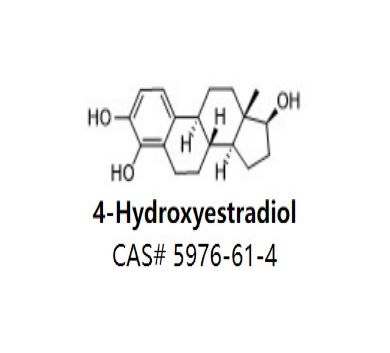 4-Hydroxyestradiol,4-Hydroxyestradiol