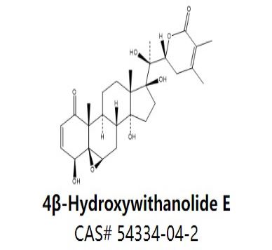 4β-Hydroxywithanolide E,4β-Hydroxywithanolide E