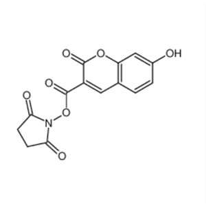 7-羟基香豆素-3-羧酸琥珀酰亚胺酯,7-HYDROXYCOUMARIN-3-CARBOXYLIC ACID N-SUCCINIMIDYL ESTER