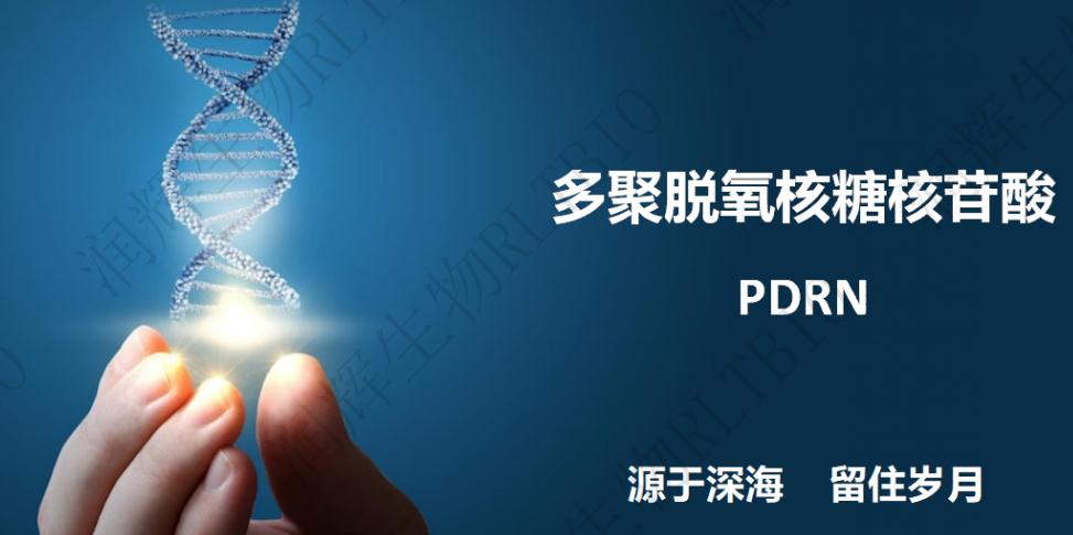 多聚脫氧核糖核苷酸,POLYDEOXYRIBONUCLEOTIDE(PDRN)