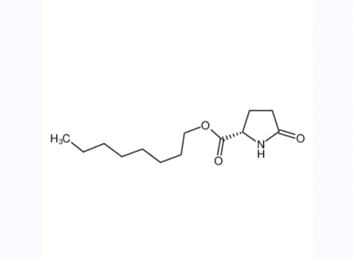 L-2-吡咯烷酮-5-羧酸正辛酯,N-OCTYL L-2-PYRROLIDONE-5-CARBOXYLATE